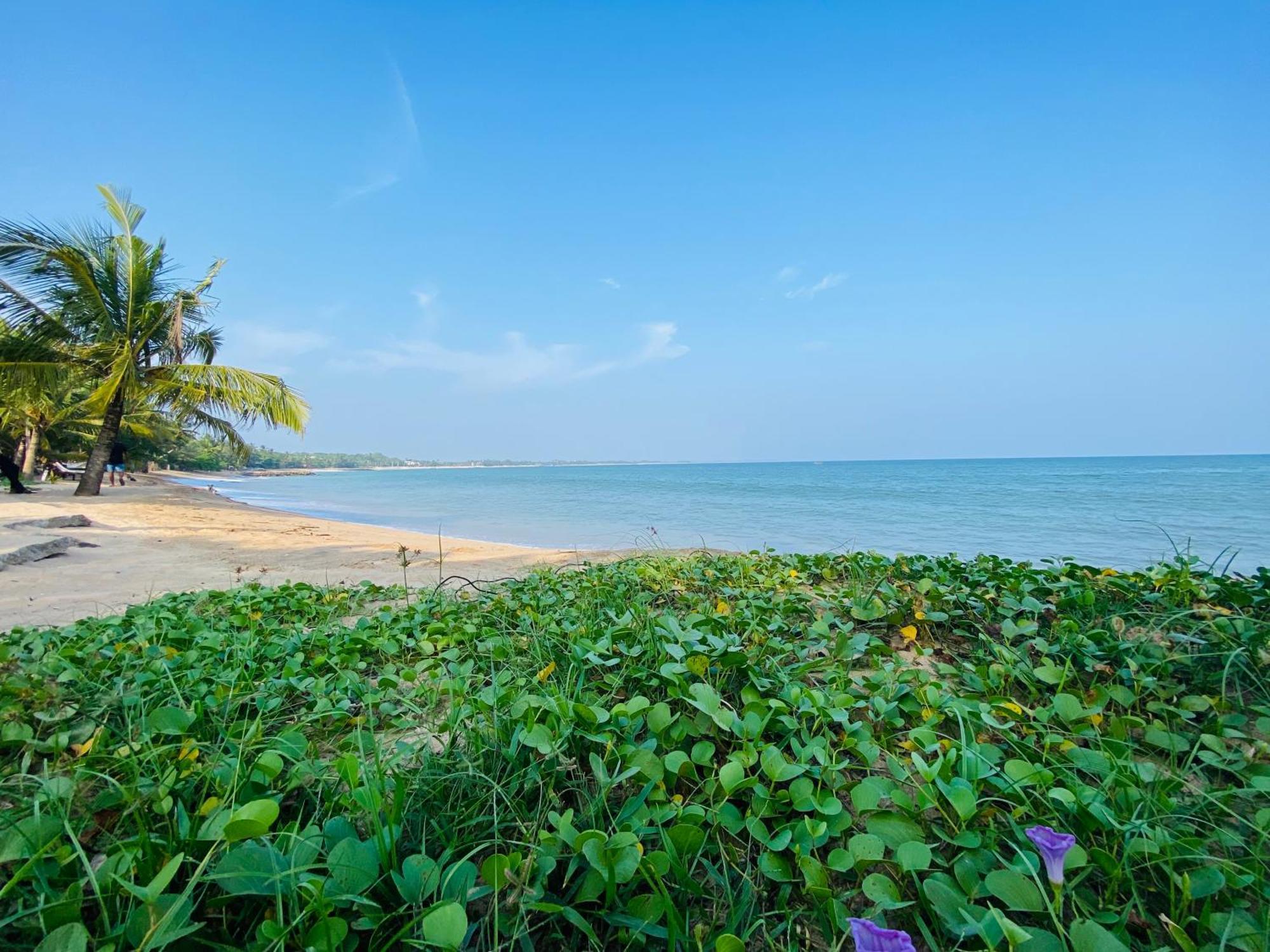 Thaprobana Villa Tangalle - Private Villa المظهر الخارجي الصورة