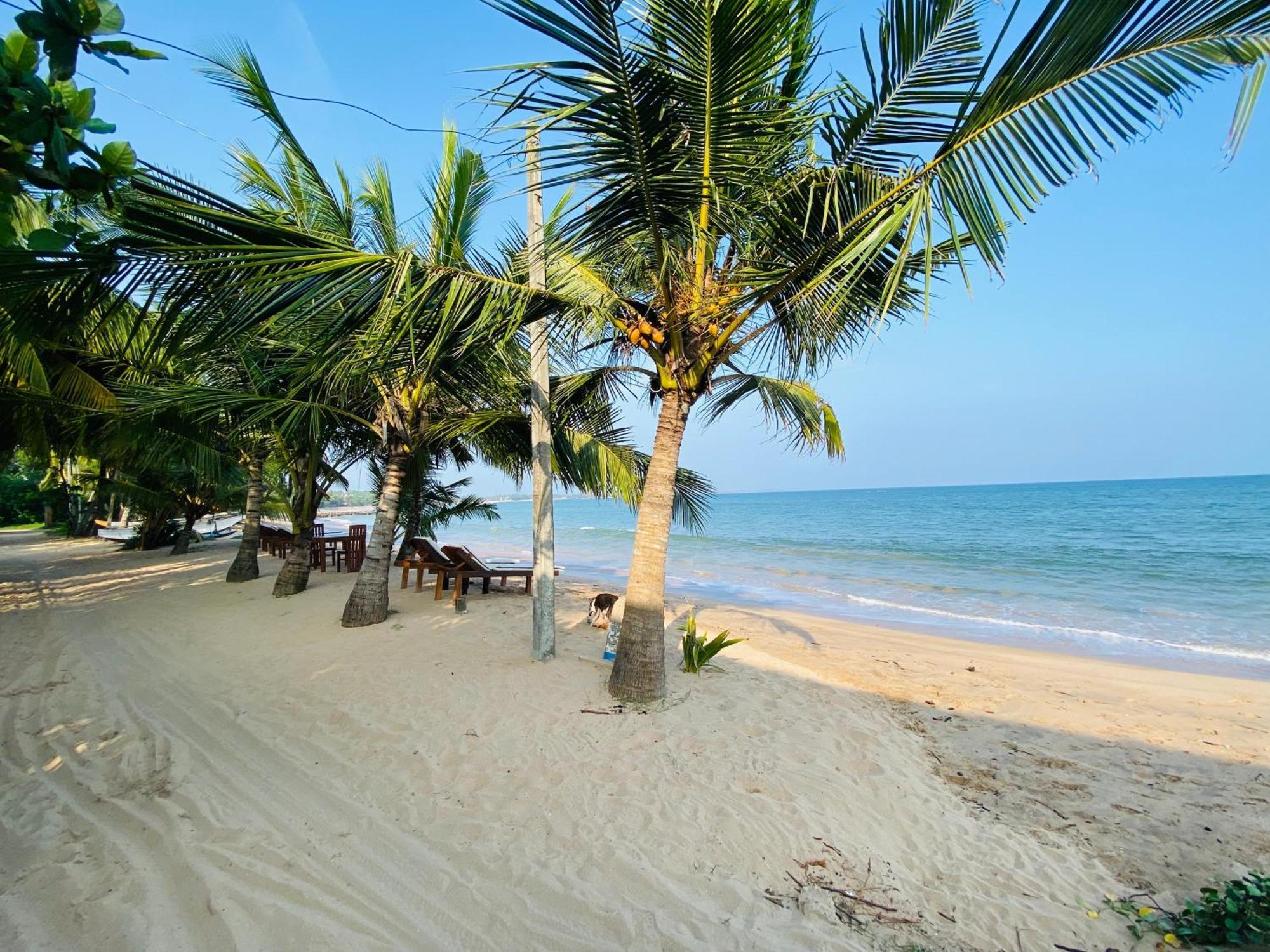 Thaprobana Villa Tangalle - Private Villa المظهر الخارجي الصورة
